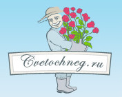Логотоп сайта